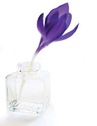 simply-holistic-therapies-crocus