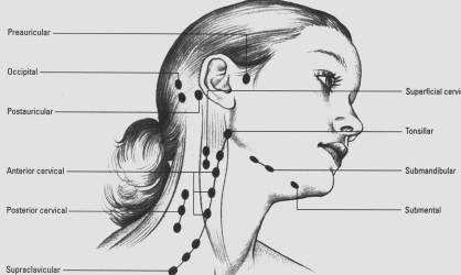 Lymph-Nodes-Neck-Head